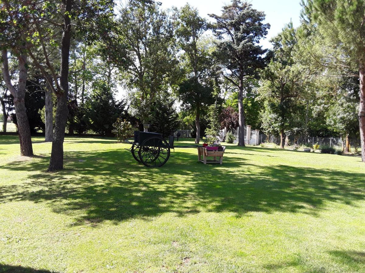 La Louisiane 31 Bed & Breakfast Villefranche-de-Lauragais Luaran gambar