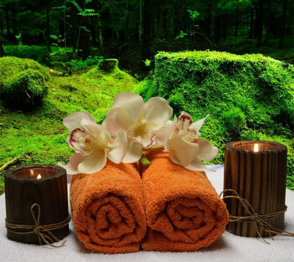 La Louisiane 31 Bed & Breakfast Villefranche-de-Lauragais Luaran gambar